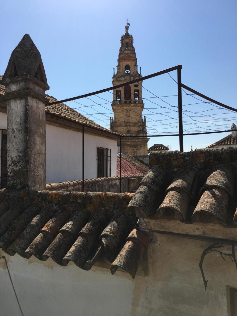 Seneca Apartamento Córdoba