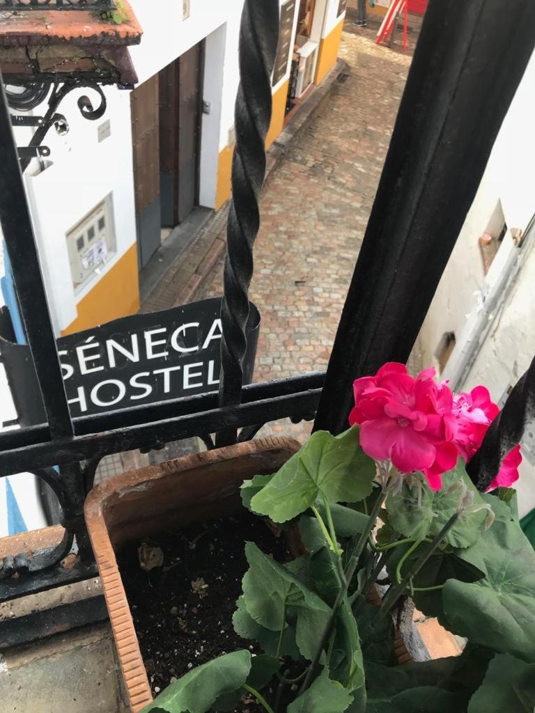 Seneca *